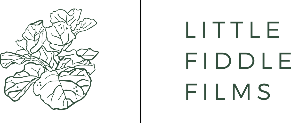 Little Fiddle Films